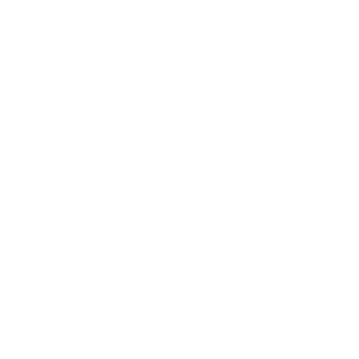 雷蒙三十白色 Logo